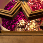 Haroon Mirza, Lamp for Williamsii, 2016. Courtesy hrm199 and Lisson Gallery, London.
 