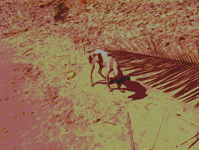 Julien Bismuth, Steganogram XXII (une image plage), 2016, 57 x 87 cm, N°1/3 + 2 E.A. Courtesy Galerie GP & N Vallois, Paris
