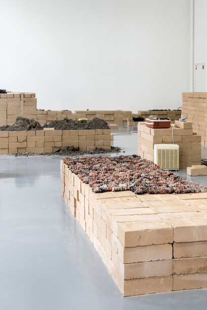 Lerole: footnotes. Courtesy of Witte de With Center for Contemporary Art