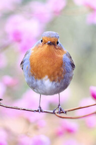 Questo è il momento per ascoltare i nostri sensi e stare in natura
