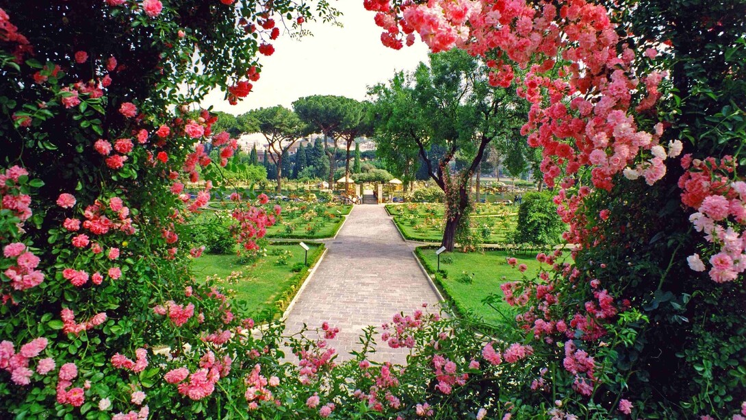 Imagen del Roseto Comunale en el Aventino
