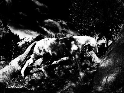 © Jean-François Spricigo. Courtesy Galerie Maeght, Paris, 2014