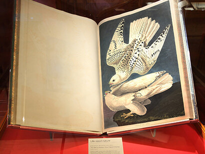 Remarkable Works, Remarkable Times. Courtesy of The Huntington