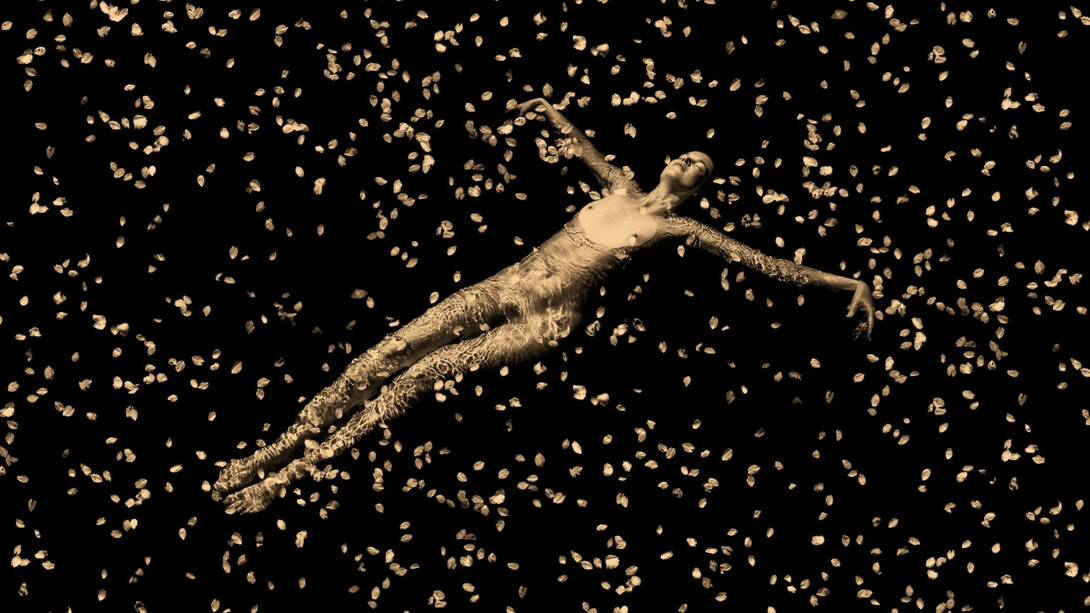 Paul Cupido, Flower bath, 2025. Courtesy of Bildhalle Gallery