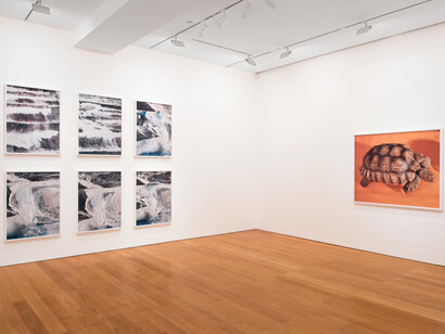 Sanctuary. Courtesy of Gagosian Gallery