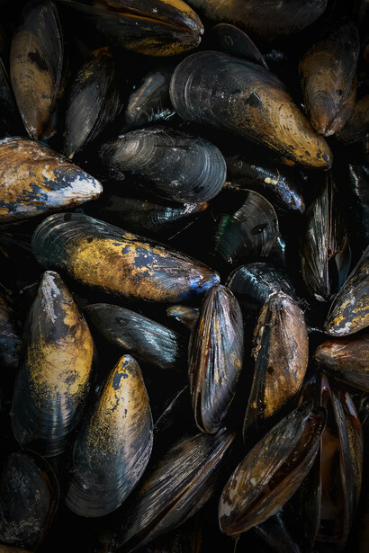 Cozze. La magia di riso, patate e cozze: un viaggio sensoriale nella cucina della Puglia