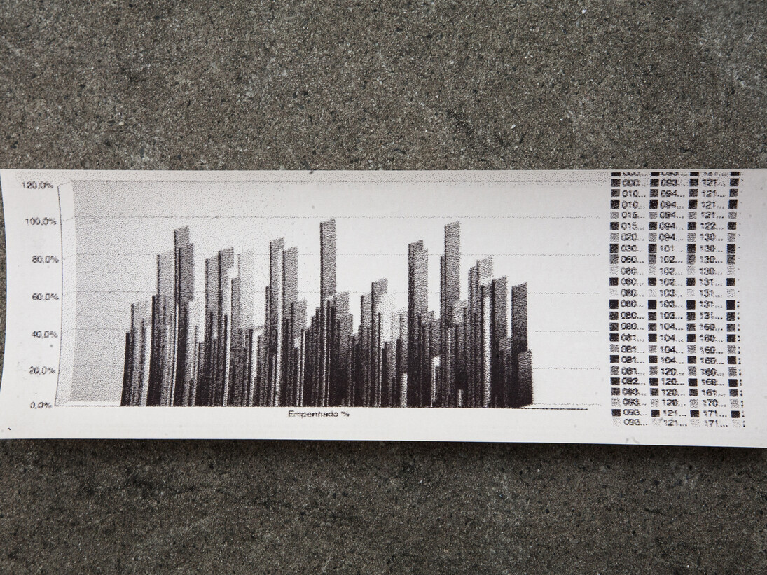 SITU 1, Jose Carlos Martinat, SRE, Open Data,  SP Mixed Media, Variable Dimensions, Detail of Printed Graphic, Photo Jose Carlos Martinat