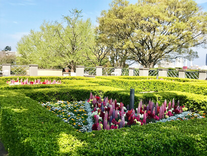 The timeless elegance and tranquility of the Yamate Italian Garden in Yokohama, Japan, makes one lose oneself in elegant escapades and scenes of serenity © Alma Reyes