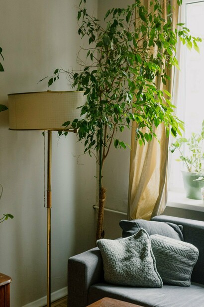 Uma luminária e uma planta se destacam em primeiro plano, enquanto a luz natural envolve a sala e seus elementos decorativos. Nos detalhes aparentemente simples, o ambiente evoca a ideia de uma casa construída não apenas para ser vista, mas para ser habitada e experimentada