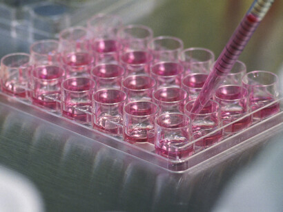 Ricerca scientifica