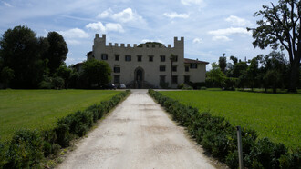 Vista frontale con i due Trachycarpus takil