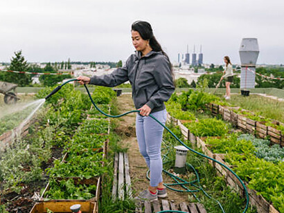 People cultivating their individual plots within the vibrant atmosphere of Berlin's allotment gardens, Germany