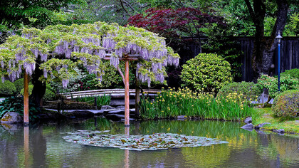 Observo pasar frente a mí todos aquellos conceptos, que eran antes tan importantes, pero que ahora vuelan inocentes y remotos como bandadas de pájaros en la pintura del atardecer