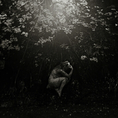 Flight Behavior. Courtesy of The Lionheart Gallery