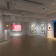 Various artists, The ascent 15 years of 3812 gallery – Anniversary exhibition, exhibition view. Courtesy of 3812 Gallery
