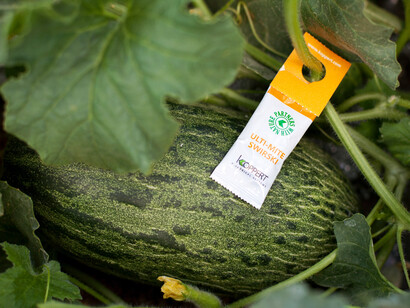 Fruit Logistica 2018. Courtesy of Berlin ExpoCenter City and City Cube