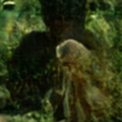 Casey Reas. Courtesy of DAM Gallery