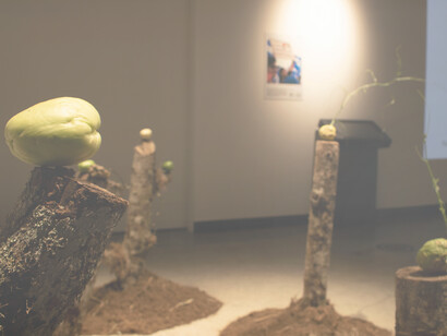 Fotografía cortesía del Museo de Jade y la Cultura Precolombina del Instituto Nacional de Seguros