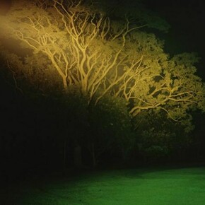 Dayanita Singh, Dream Villa 20, 2007 - 2008,
C-type print, 102 x 102 cm, Courtesy the artist and Frith Street Gallery, London
© the artist 2013