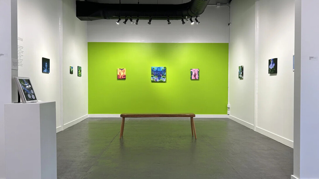 Navi Naisang, Phantom limb, exhibition view. Courtesy of Tyger Tyger Gallery