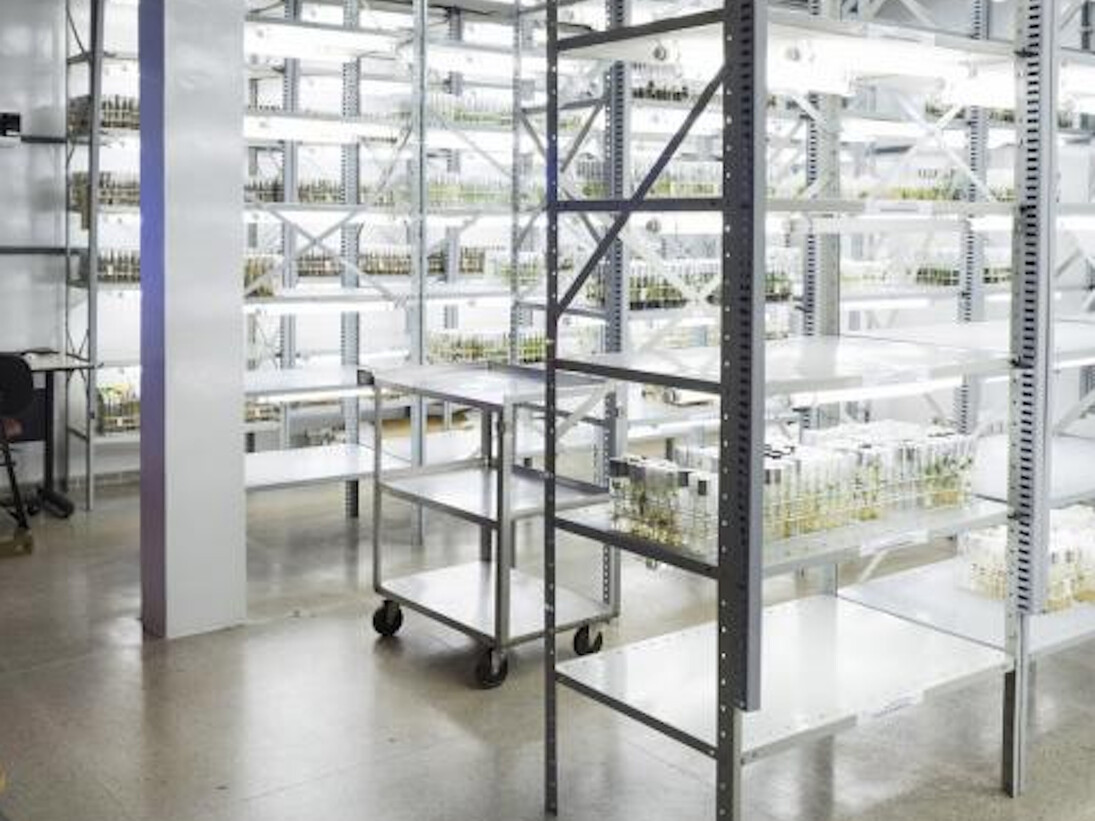 Dornith Doherty. Courtesy of Amon Carter Museum of American Art