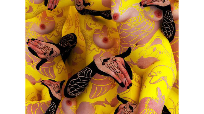 Kim Joon, Bird Land-Donald Duck, 2008, digital print, 47 x 47 inches/119.4 x 119.4 cm; image © 2008 Kim Joon