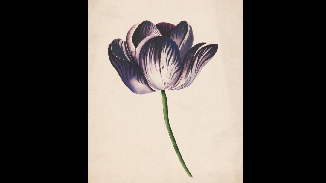 Work in Hand. Courtesy of Sydney Living Museums