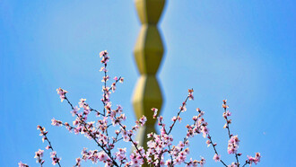 Constantin Brancusi, Colonna infinita, foto Ionel Scaunasu