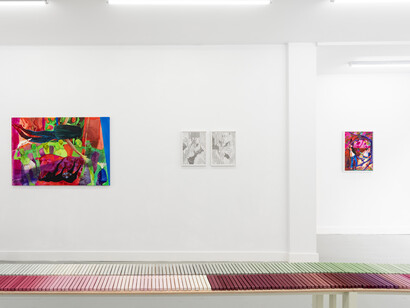 Lisette de Greeuw and Aysen Kaptanoglu, What grows unseen, exhibition view. Courtesy of Josilda da Conceição