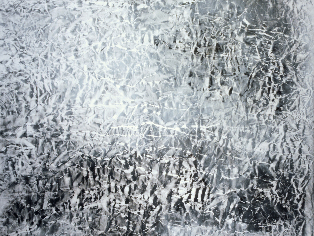 Vicky Colombet, Earth Series #1262, 2007 (detail)
