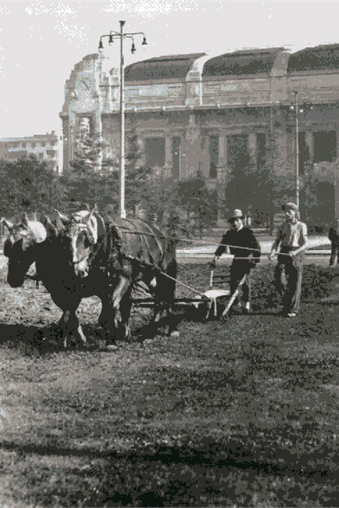Agricoltura in città, Milano, Stazione Centrale, Collezione privata Luigi Borgomaneri