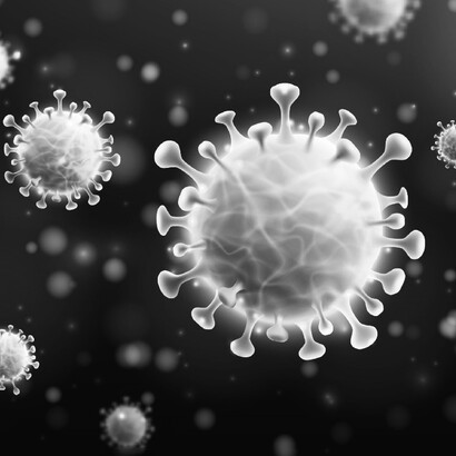 Finora, gli studi sui virus a RNA erano concentrati soprattutto su quelli dannosi per gli esseri umani