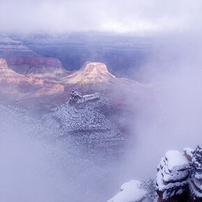Michael Nichols. Courtesy of Philadelphia Museum of Art