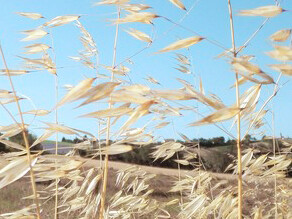 Il cibo rappresenta moltissime cose tra cui identità, tradizione, innovazione, ma è soprattutto incontro e scambio, foto Valeria Nardi