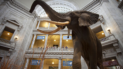 Smithsonian Museum, Washington DC