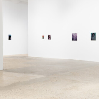 Paul P., Sibilant esses, exhibition view. Courtesy of Greene Naftali