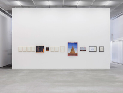 Alex Cerveny. Courtesy of Casa Triângulo