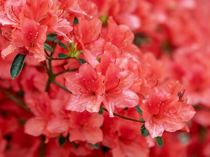 Impariamo ad amare noi stessi in un percorso lungo quanto tutta la nostra vita