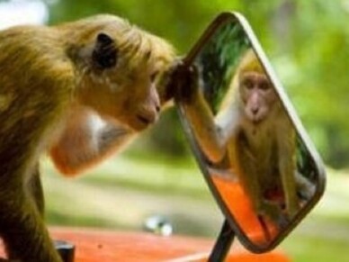 All mental processes are part of the natural and experiential history of every individual to whatever species it belongs
