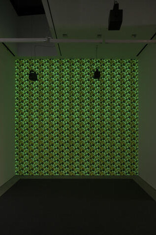 Philippe Parreno. Courtesy of Gladstone Gallery