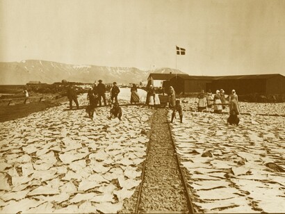 Salazón de bacalao en Islandia, siglo XIX