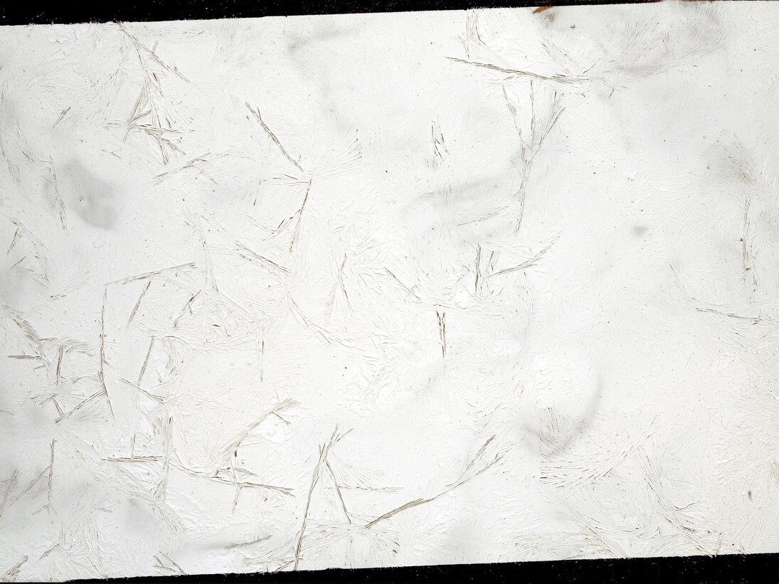 Nanni Menetti, Sempre più lontano da me, crio-grafie (2015), dettaglio, 40 x 60 cm
