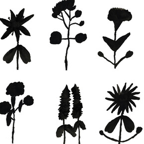 Artworks by Elana Cooper, Flower Power, 2023. Courtesy of Creativity Explored