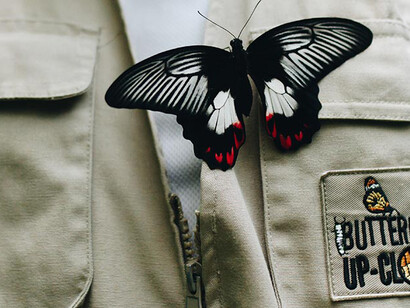 Butterflies Up-Close. Courtesy of Science Centre