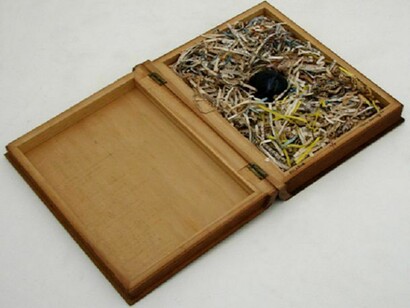 Paulo Bruscky, Parlarva (Word/worm), 1992, 10 1/8 x 8 x 2 1/8 in, Purchased with funds from PINTA Museum Acquisition Program and additional funds from gift by Enid McKenna Soifer