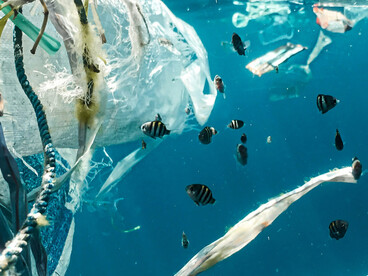 Millones de toneladas de plástico flotan en los mares, alterando corrientes, ecosistemas y cadenas alimentarias marinas