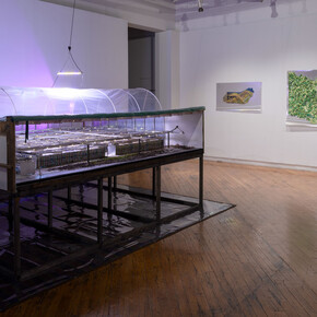 Soft Turns, Cold data, exhibition view. Courtesy of Gallery 44