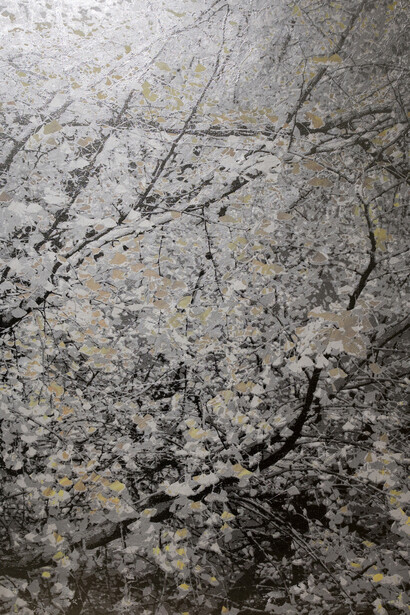 Under the Moonlight. Courtesy of JD Malat Gallery