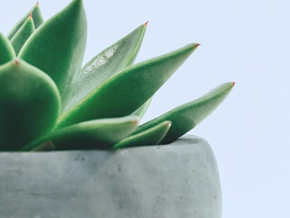 Las empresas están aprendiendo a ser cada vez más sostenibles