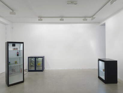 Gili Tal, Vilma Gold, 2015, installation view, courtesy Vilma Gold, London